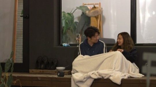 최송현