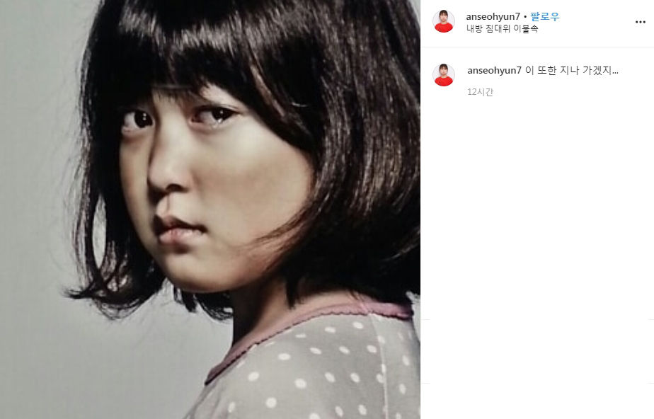 안서현