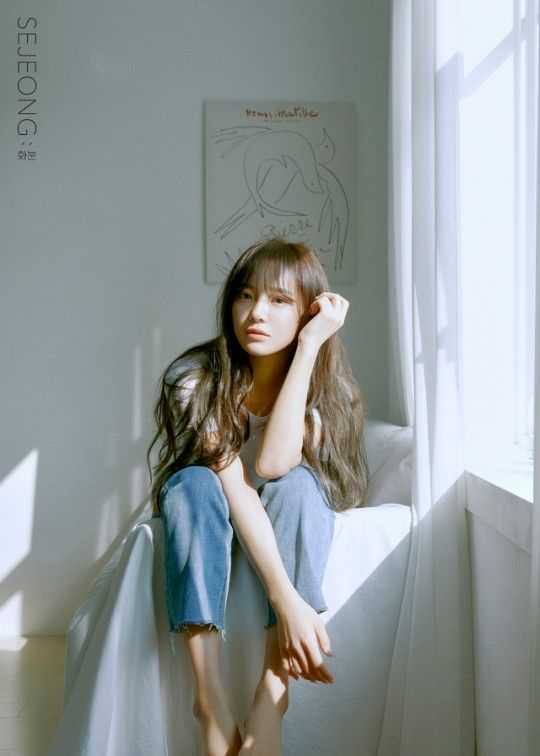 세정