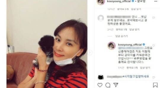 입양인가vs분양인가&hellip;고소영, 반려견 논란에 댓글로 해명