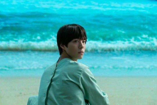 박보검