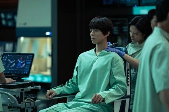 박보검