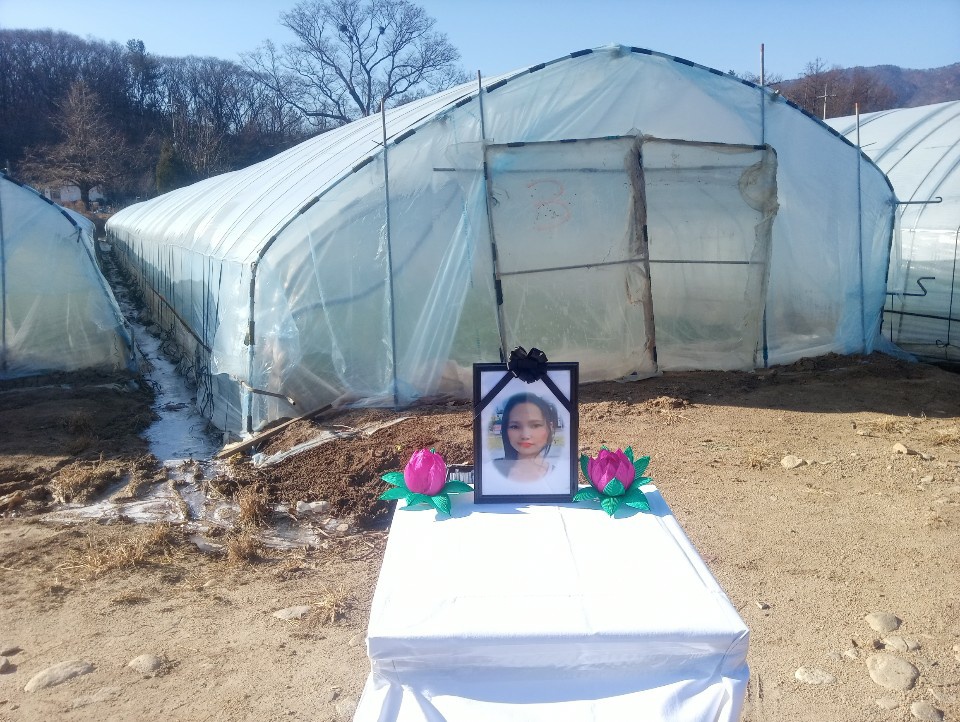 "속헹 씨는 왜 비닐하우스서 숨져야만 했나"…'궁금한 이야기 Y', 이주노동자 현실 추적