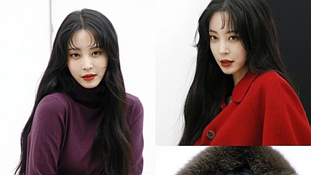 한예슬, 겨울되니 흑발 변신...근황 보니