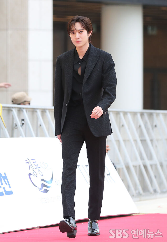 [Throwback] Kim Young Dae Turns Heads on the Blue Dragon Series Awards Red Carpet as a Presenter