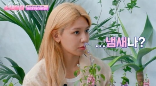 소녀시대 수영, 코로나19 후유증으로 후각 상실…"꽃향기 못 맡아 슬퍼"