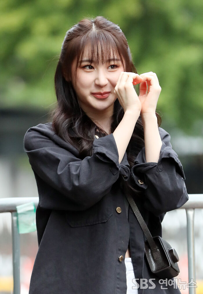 [Throwback] LEE CHAE YEON Is the Spitting Image of Sister Chaeryeong