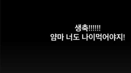 이윤지, 故박지선 생일 알림에 "너도 나이 먹어야지" 애틋한 축하