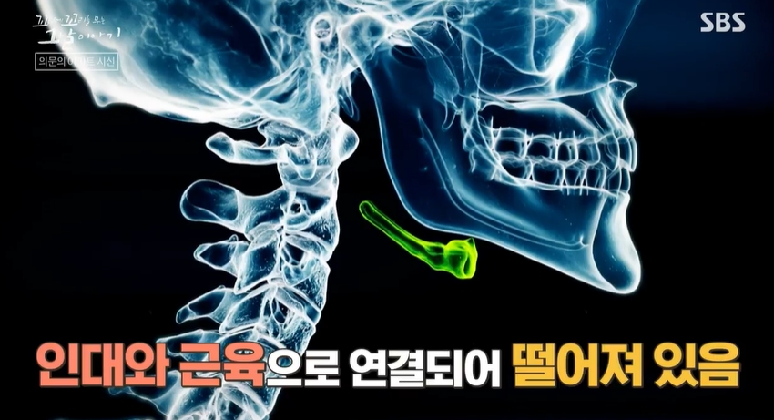 [꼬꼬무 찐리뷰] 강에 떠오른 엄마, 집에서 백골로 발견된 딸…아들은 어디에?