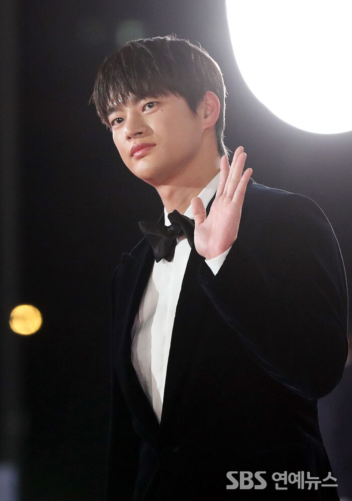 [Throwback] Seo Inguk Stuns on the Blue Dragon Red Carpet