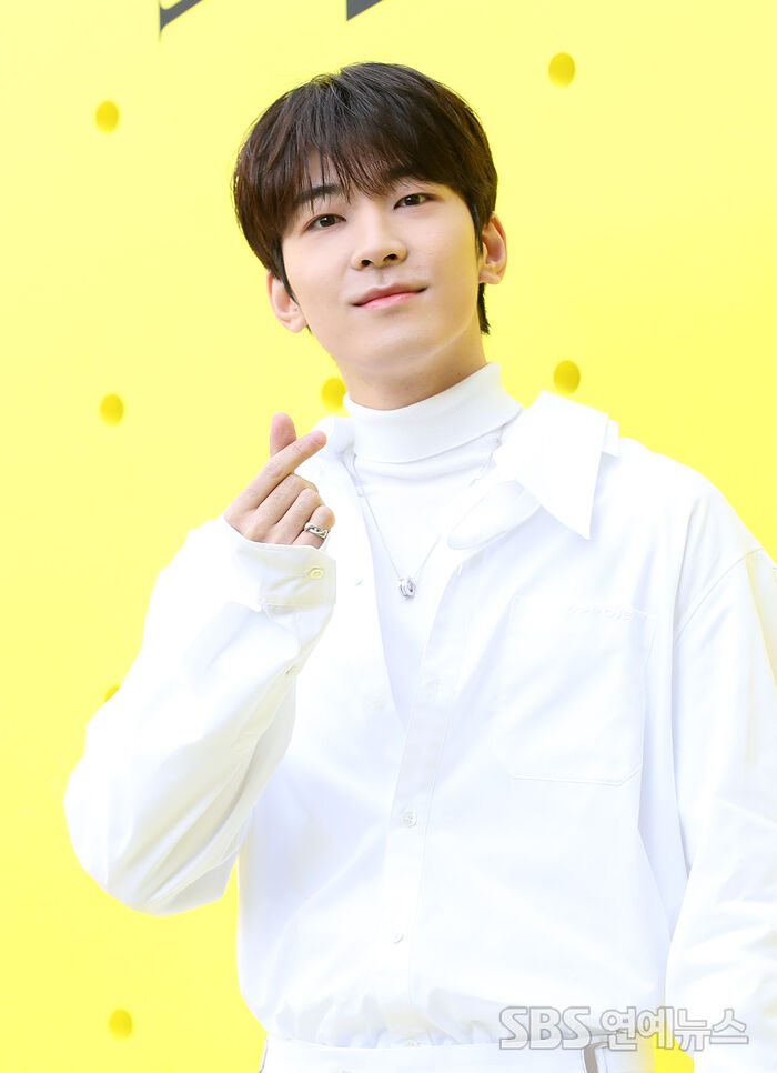[Throwback] SEVENTEEN's WONWOO Sends Hearts Racing With Heart Hands