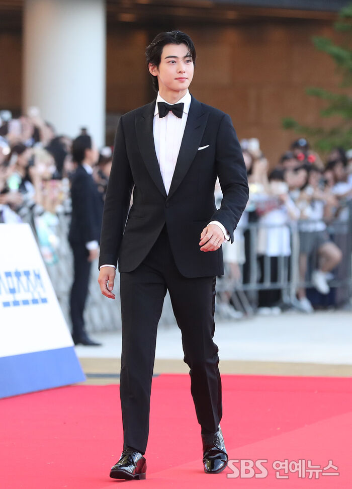 Cha Eun-woo