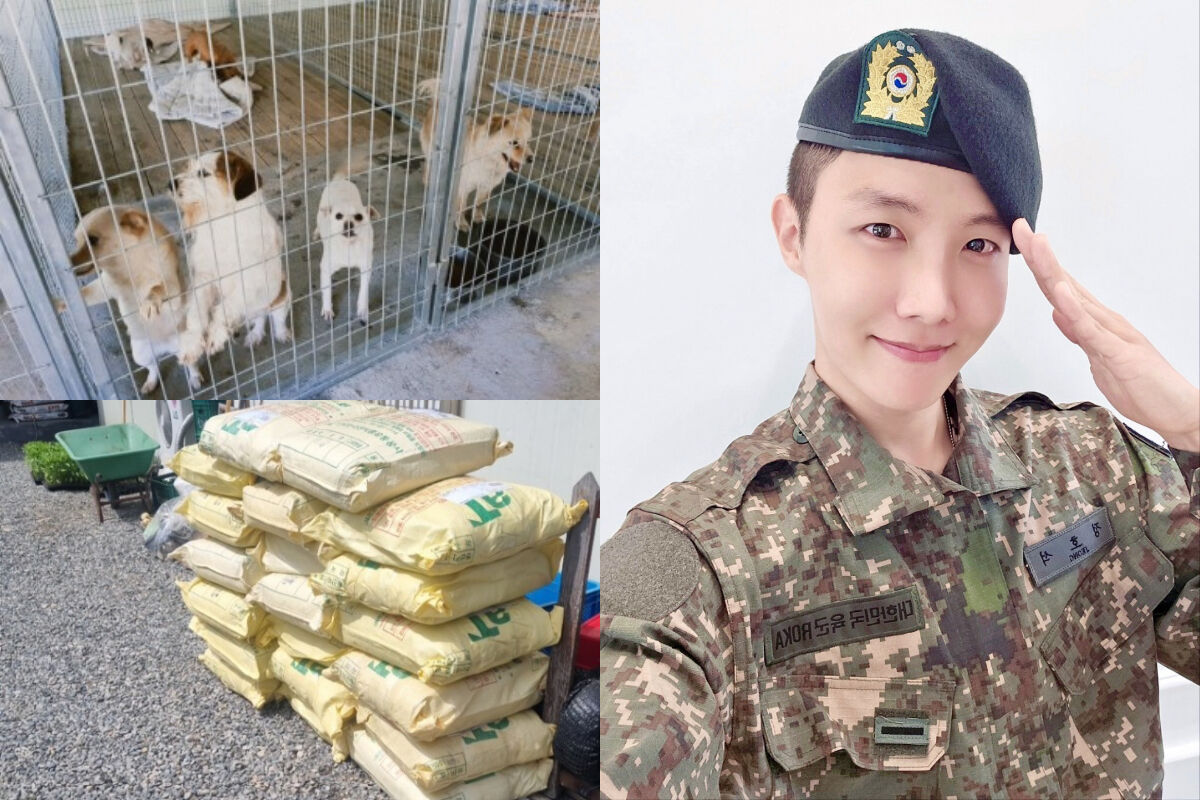 제이홉 유기견 쉼터 후원