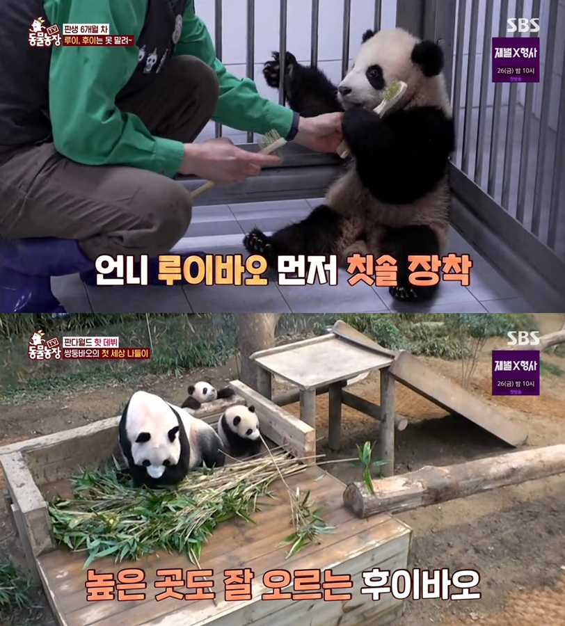 동물농장