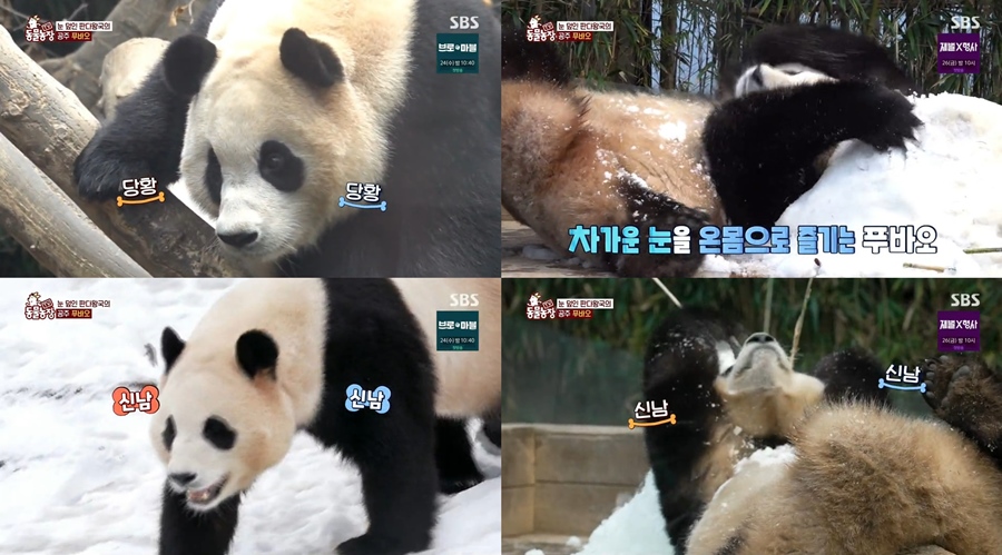 동물농장