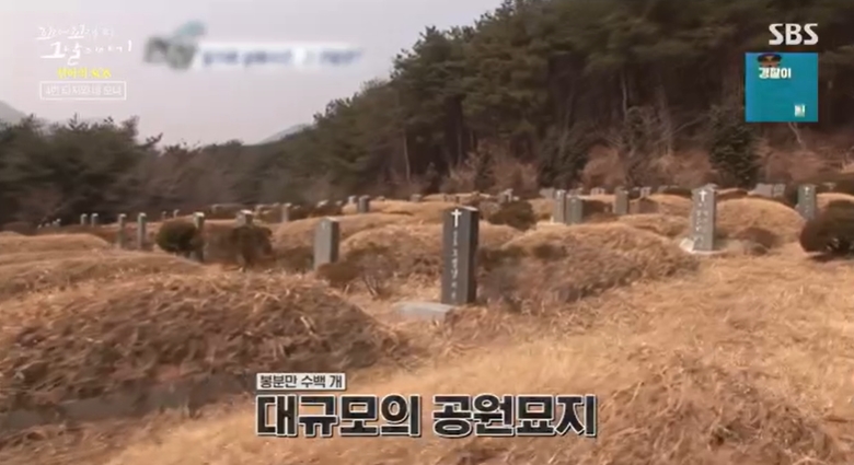 꼬꼬무 찐리뷰