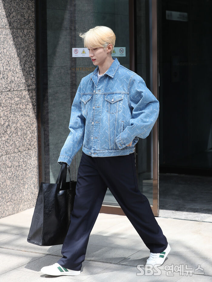 SEVENTEEN's DK