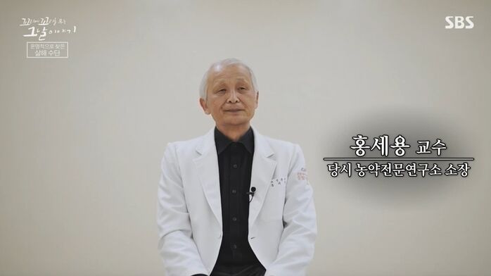 꼬꼬무