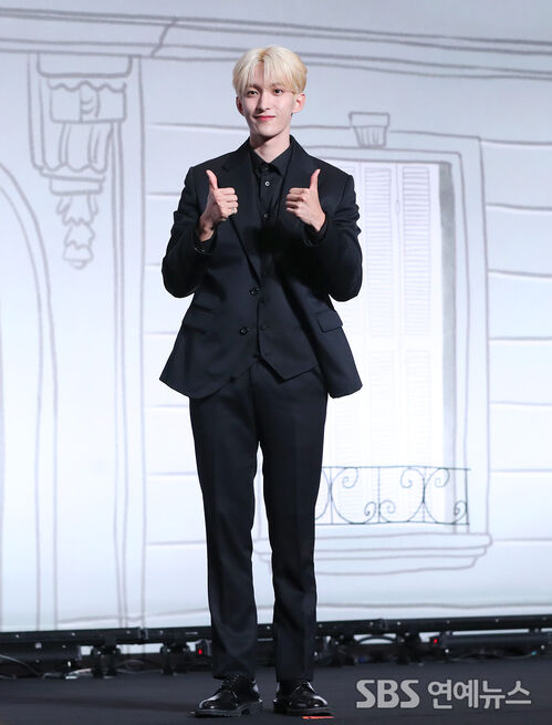 SEVENTEEN's DK