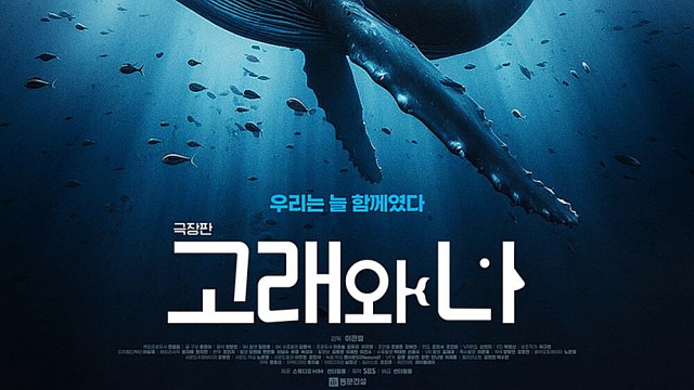 "고래로 평화를"&hellip;'고래와 나', 부산평화영화제 경쟁 부문 초청
