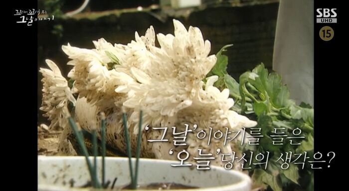꼬꼬무 찐리뷰