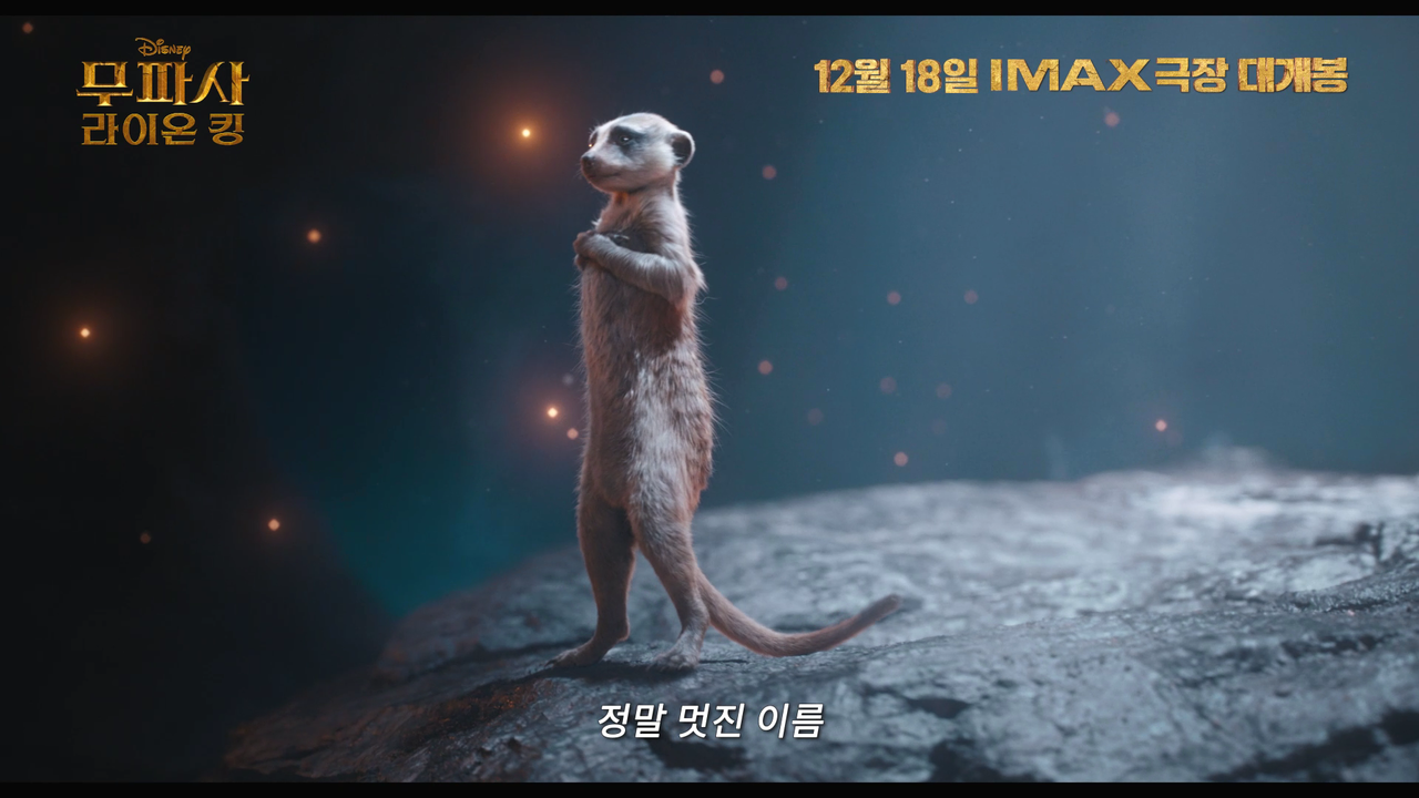 심바 아빠는 어떻게 왕이 됐나…'무파사', 12월 18일 개봉