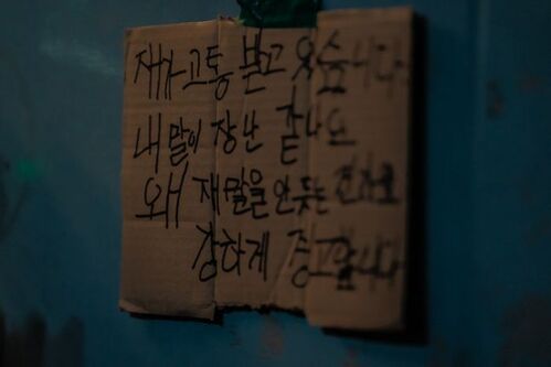 노이즈