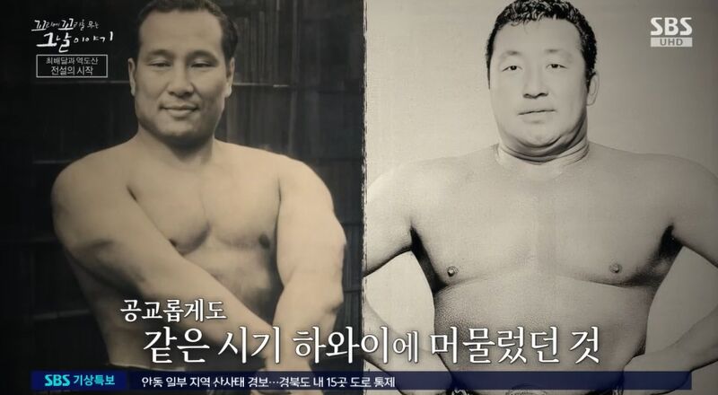 꼬꼬무