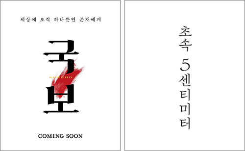 미디어