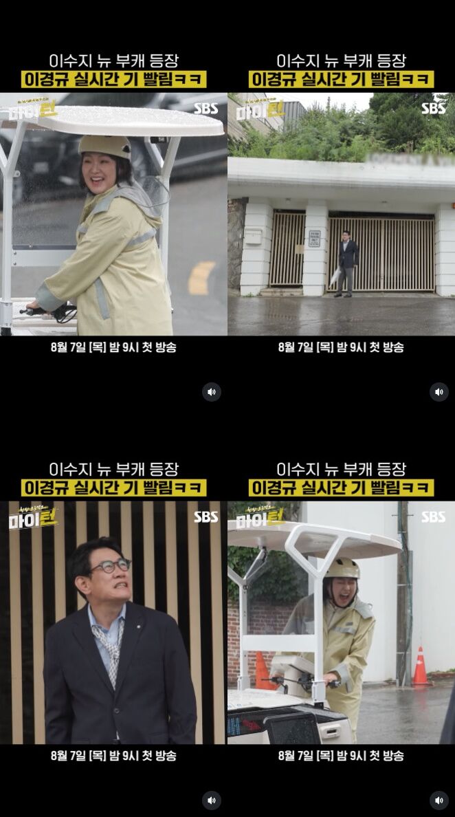 마이턴