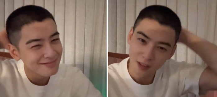 Cha Eun-woo