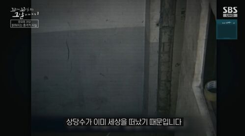 꼬꼬무