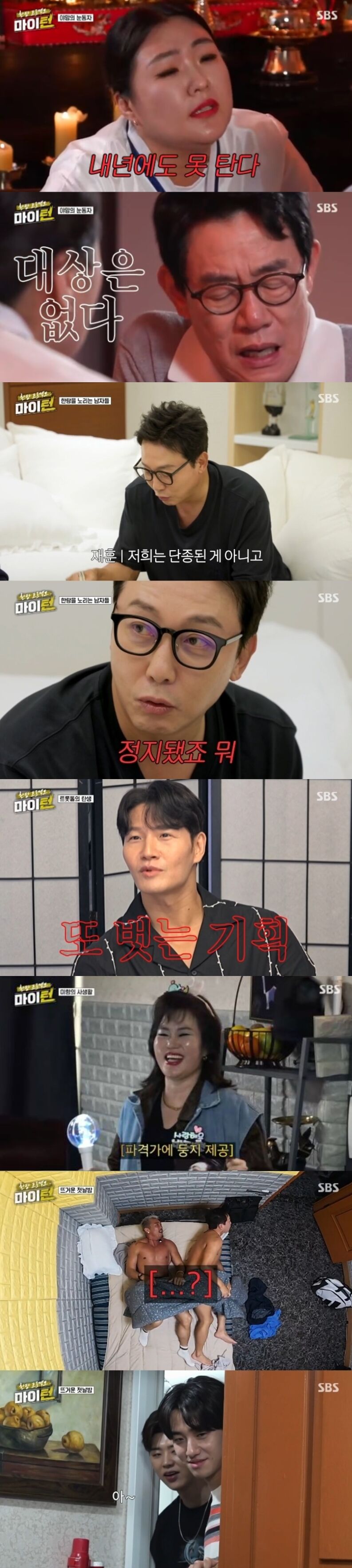 마이턴