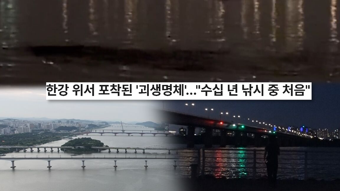 한강에 10미터 괴물이 나타났다?…'궁금한 이야기Y', 결정적 장면 포착