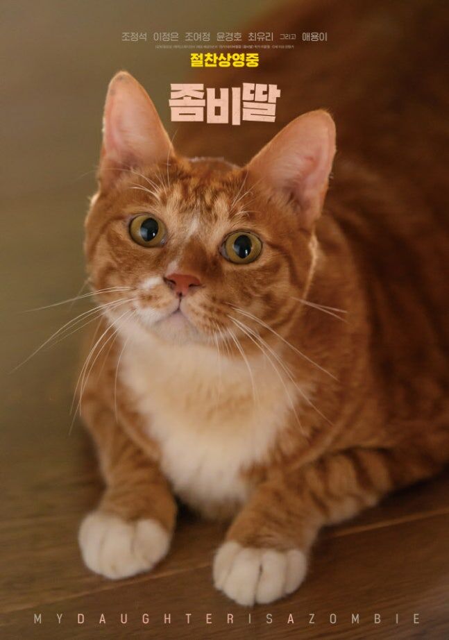 좀비딸