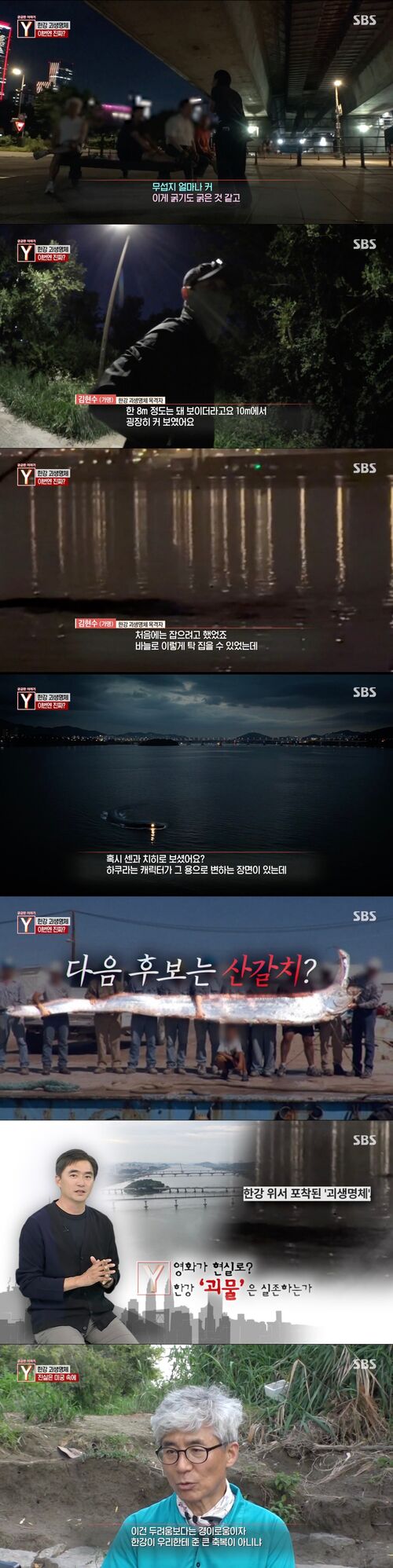 궁금한이야기