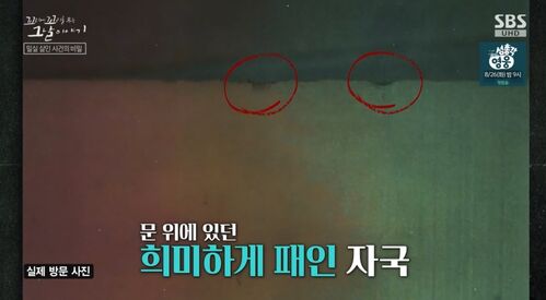 꼬꼬무 찐리뷰