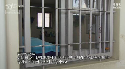 꼬꼬무 찐리뷰
