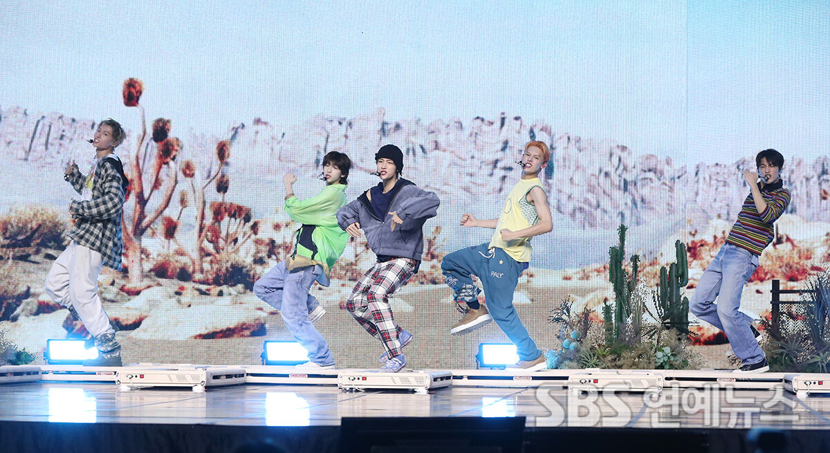 코르티스