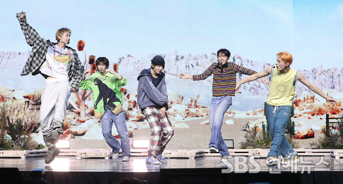 코르티스