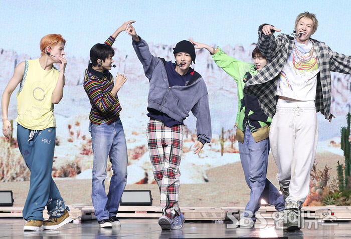 코르티스