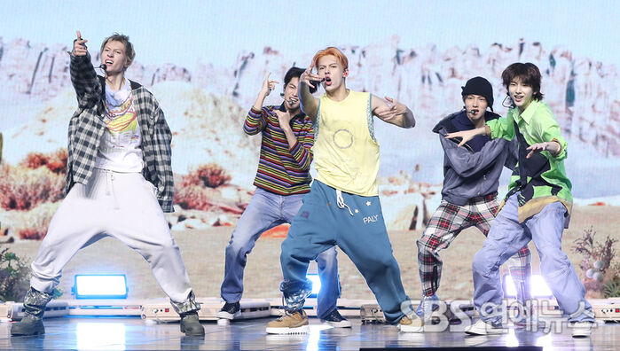 코르티스