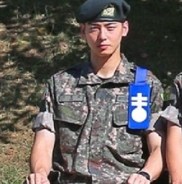 Cha Eun-woo