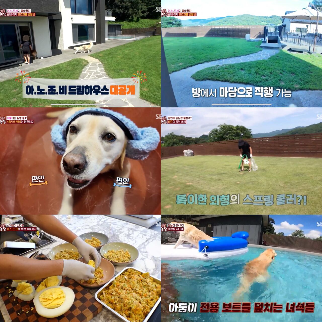 동물농장