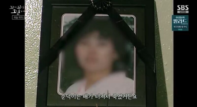 꼬꼬무