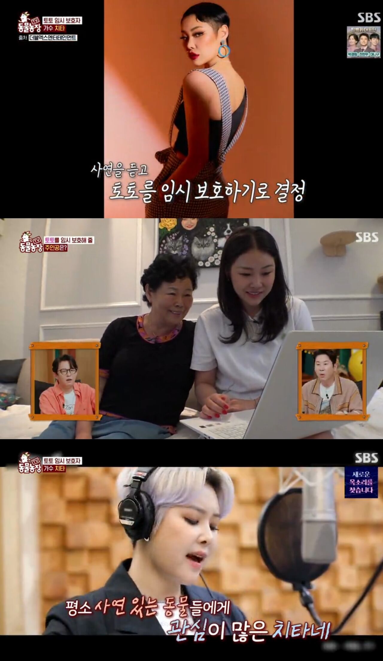 동물농장