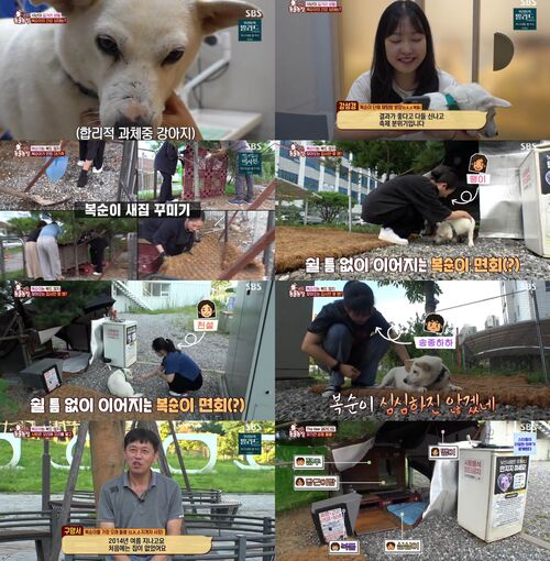 동물농장