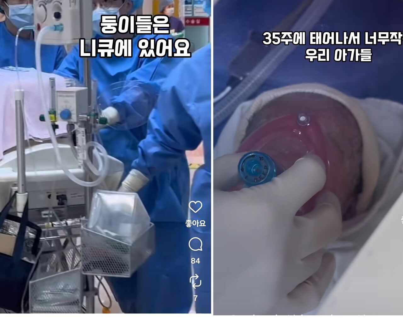 김지혜 최성욱
