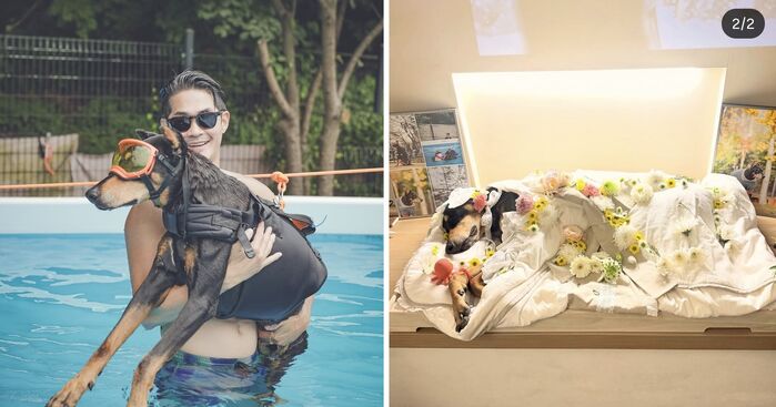Bae Jung-nam Says Goodbye to His 'No. 1 Treasure,' Belle: "Daddy Loves You So Much"