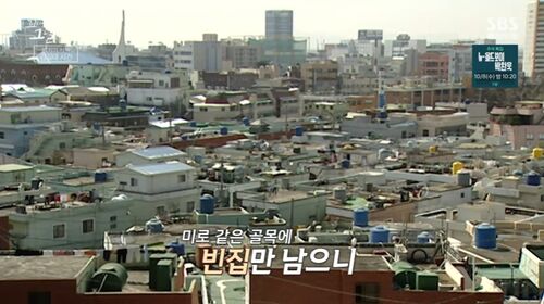꼬꼬무 찐리뷰